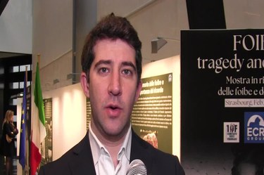 europarlamentare stefano cavedagna