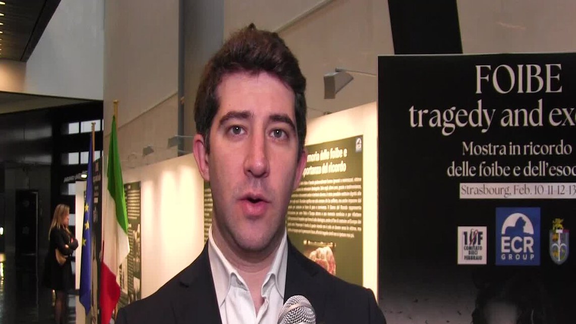 europarlamentare stefano cavedagna