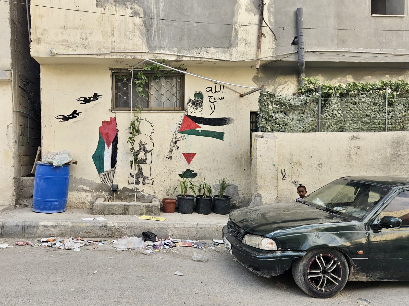 I muri delle case dipinti con simboli e colori della Palestina 