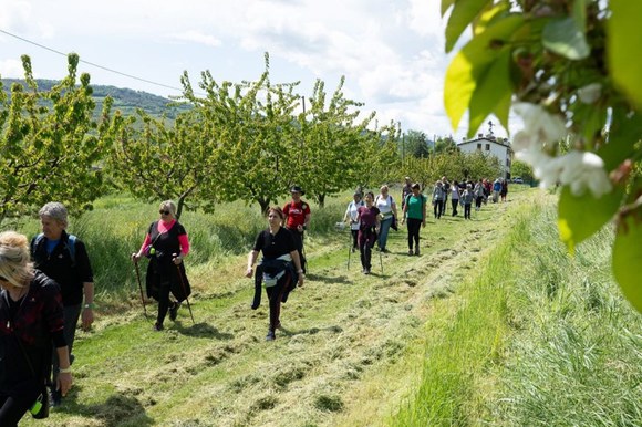 Uno scatto dalla scorsa edizione di Open weekend. Crediti: Proloco Savigno