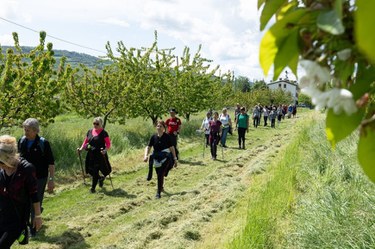 Uno scatto dalla scorsa edizione di Open weekend. Crediti: Proloco Savigno