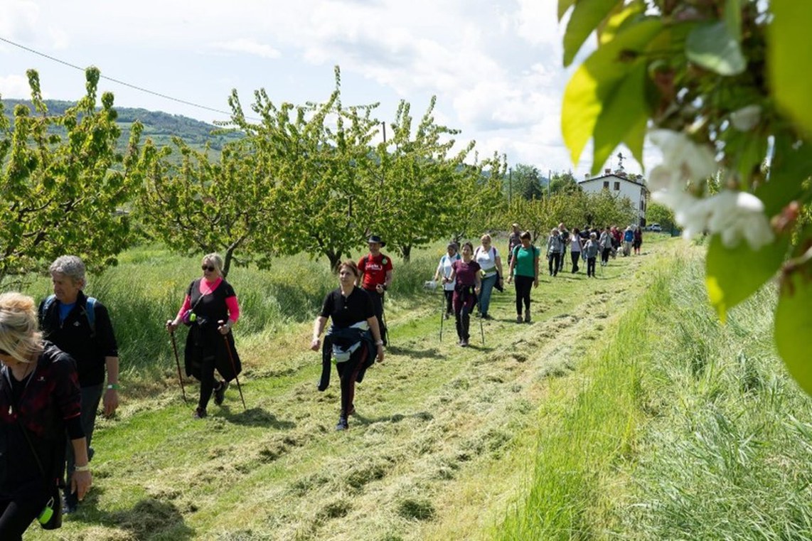 Uno scatto dalla scorsa edizione di Open weekend. Crediti: Proloco Savigno
