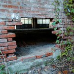 Uno degli accessi illegali all'area