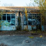 Un'altra area del deposito in mano a vegetazione e writer