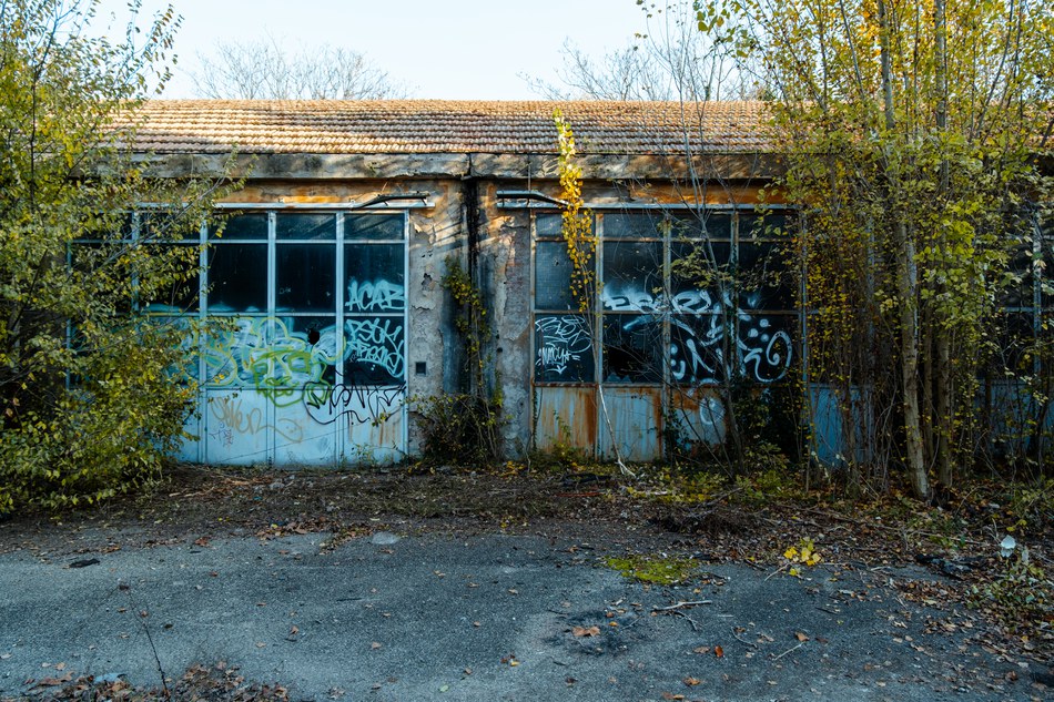 Un'altra area del deposito in mano a vegetazione e writer