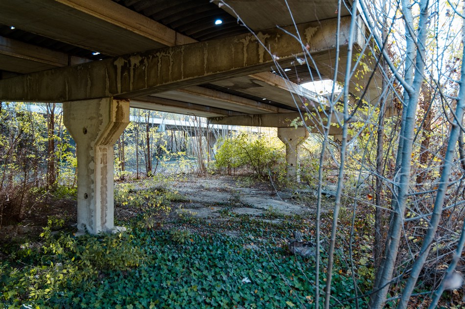 Il parcheggio per mezzi di piccola taglia invaso dalla vegetazione