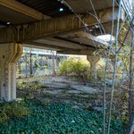 Il parcheggio per mezzi di piccola taglia invaso dalla vegetazione