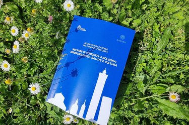 scuola ardigò report